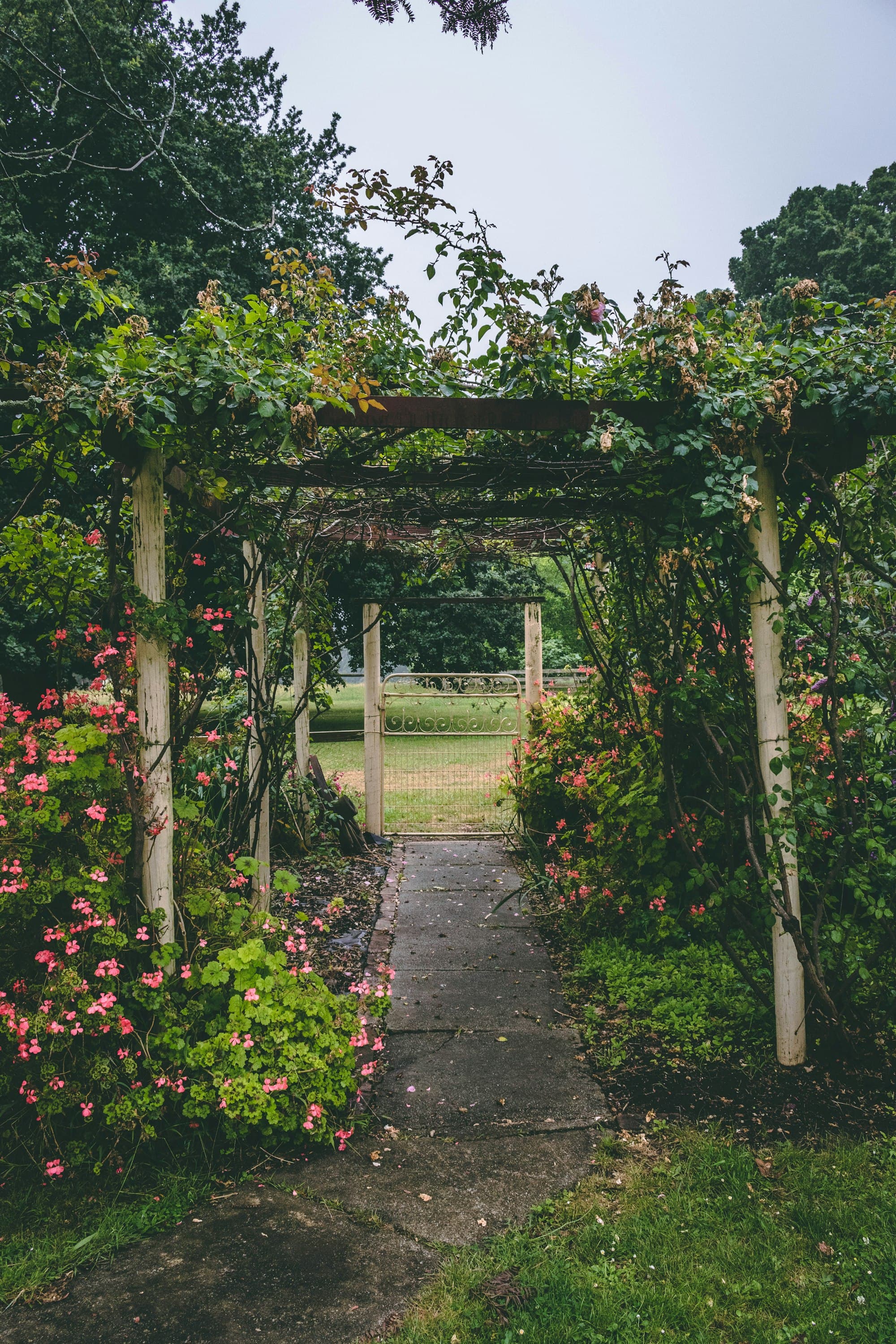 A rose-covered pergola over a garden path leading to an open gate